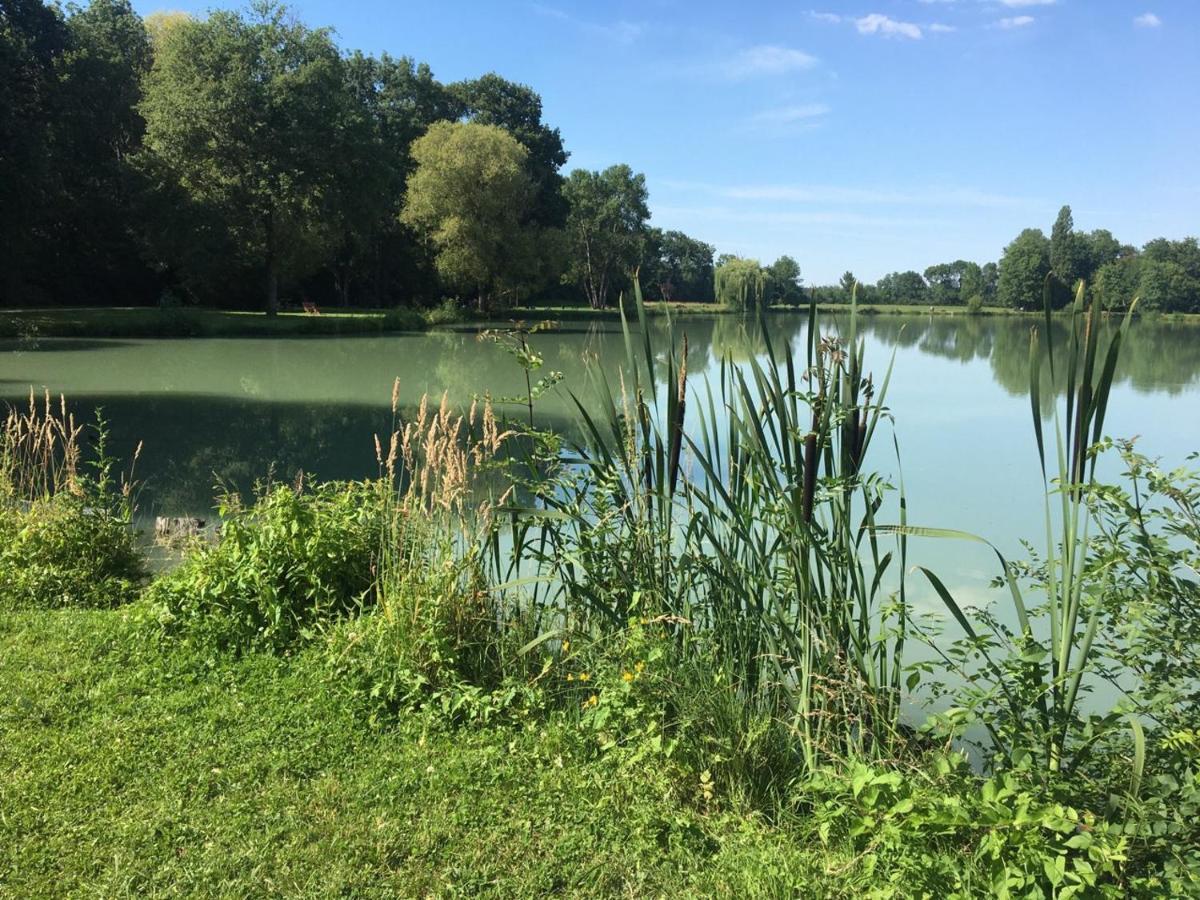 Le Gite De L'Atelier Lailly-en-Val ภายนอก รูปภาพ